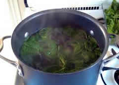 lagundi boiled