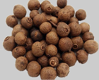 Allspice