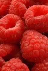 red raspberry